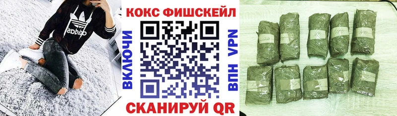 цена наркотик  Узловая  Кокаин VHQ 