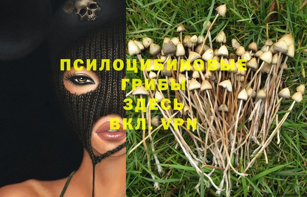 MESCALINE Лабытнанги