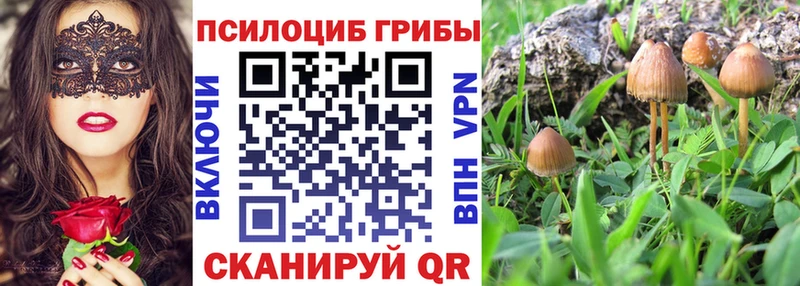 Псилоцибиновые грибы Magic Shrooms  kraken как войти  Узловая 